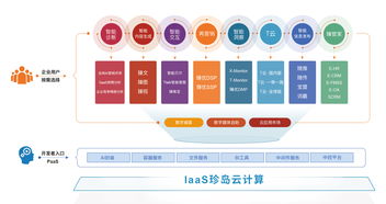 喜報 珍島榮膺2019上海軟件和信息技術(shù)服務(wù)業(yè)百強人工智能基礎(chǔ)軟件開發(fā)殊榮